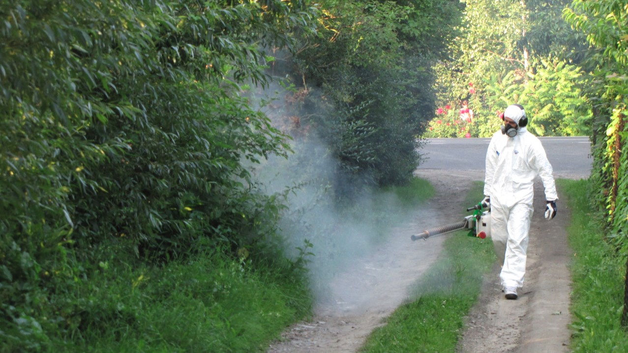 deratteam deratyzacja