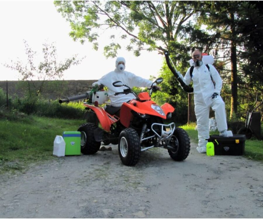 deratteam-dezynsekcja