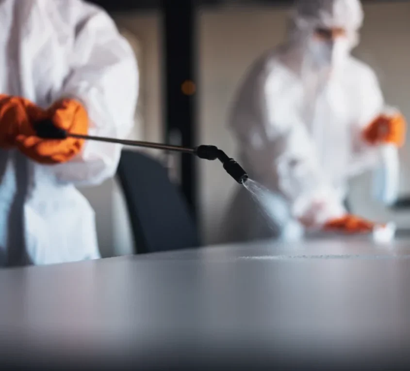 Oferujemy Państwu profesjonalne usługi w zakresie dezynfekcji. W naszej propozycji znajdą Państwo między innymi ozonowanie, dezynfekcję wody, odzieży, oczyszczanie domu oraz terenów do niego przyległych.